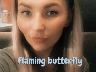 Flaming_butterfly