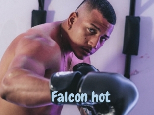 Falcon_hot