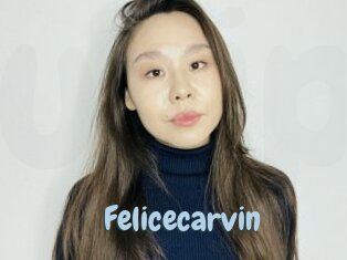 Felicecarvin