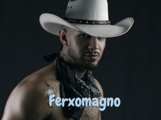 Ferxomagno