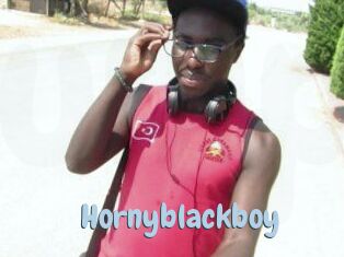 Hornyblackboy