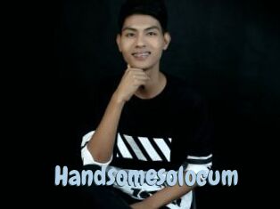 Handsomesolocum