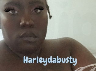 Harleydabusty