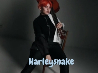 Harleysnake