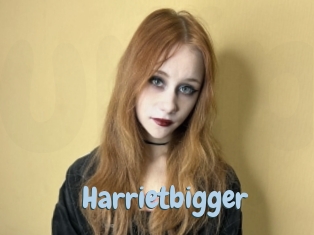 Harrietbigger