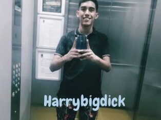 Harrybigdick