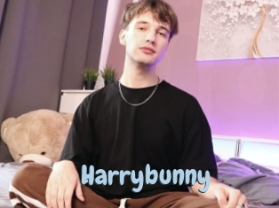 Harrybunny