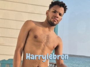 Harrylebron