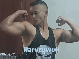 Harveywull