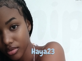 Haya23