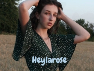 Heylarose