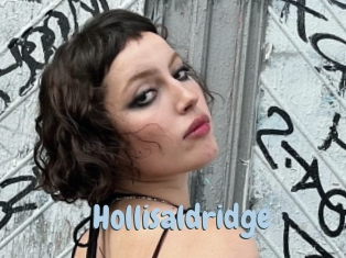 Hollisaldridge