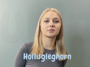 Hollisgleghorn