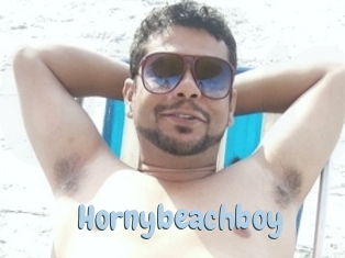 Hornybeachboy