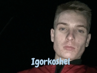 Igorkoshel