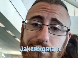 Jakesbigsnake