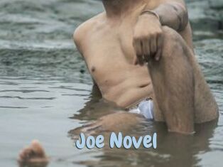 Joe_Novel