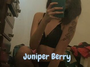 Juniper_Berry