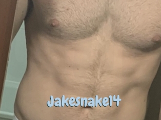 Jakesnake14