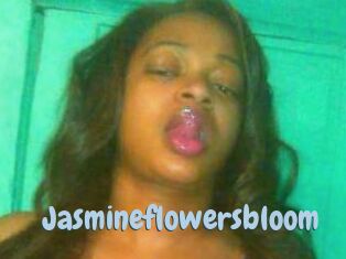 Jasmineflowersbloom