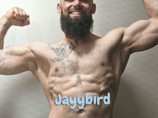 Jayybird