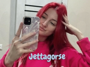 Jettagorse