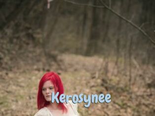 Kerosynee