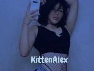 KittenAlex