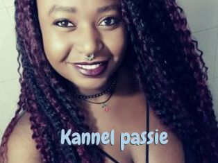 Kannel_passie