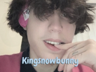 Kingsnowbunny