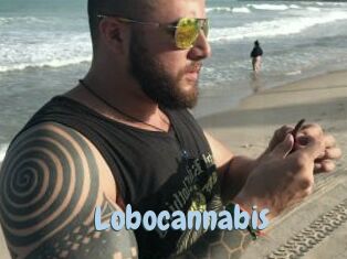 Lobocannabis