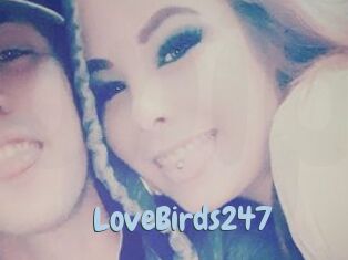 LoveBirds247