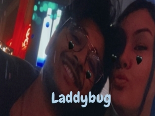 Laddybug