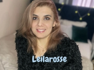 Leilarosse