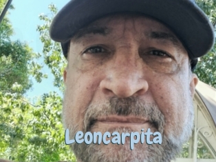 Leoncarpita