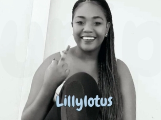 Lillylotus