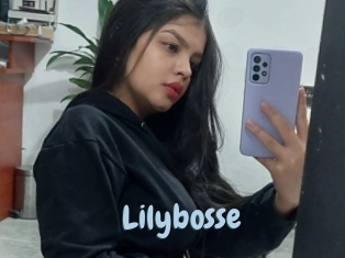 Lilybosse