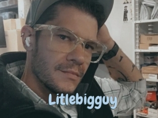 Litlebigguy