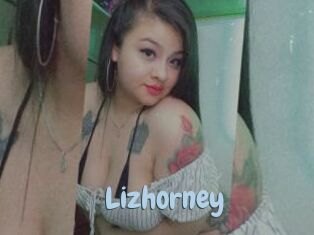 Lizhorney