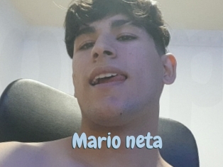 Mario_neta