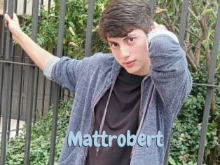 Mattrobert