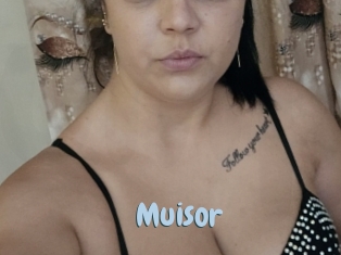 Muisor