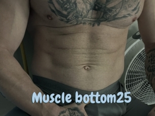 Muscle_bottom25