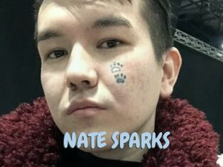 NATE_SPARKS