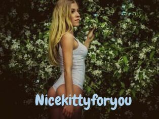 Nicekittyforyou