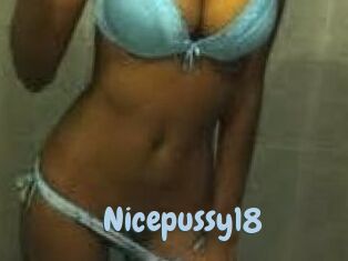 Nicepussy18