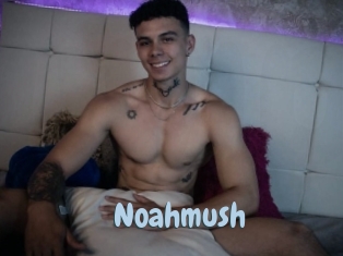 Noahmush