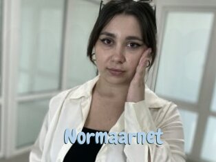 Normaarnet