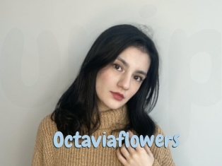 Octaviaflowers