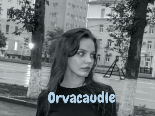 Orvacaudle